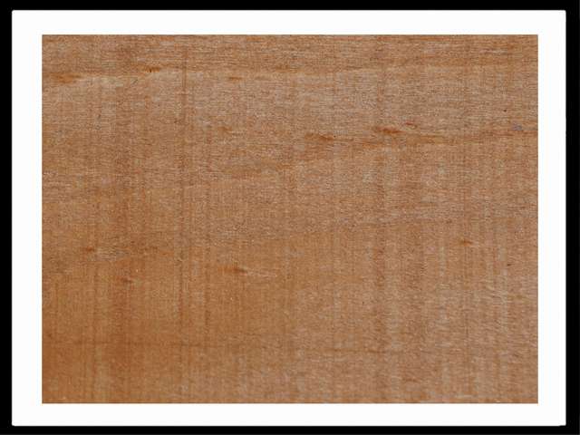 Honey Stain